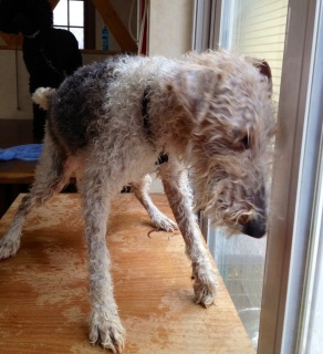 �\���V����
