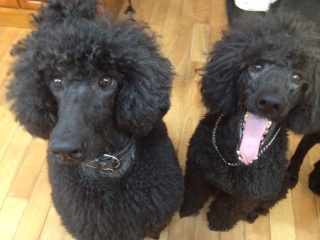 ����Ƃ���