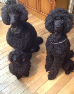 ����Ƃ���