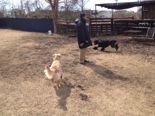 �X���[�i���ށ��j