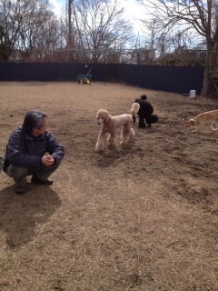 �X���[�i���ށ��j