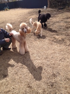 �X���[�i���ށ��j