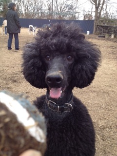 �X���[�i���ށ��j