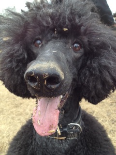 �X���[�i���ށ��j