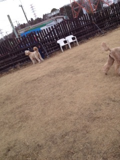 �X���[�i���ށ��j