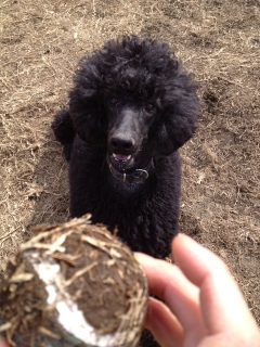 �X���[�i���ށ��j