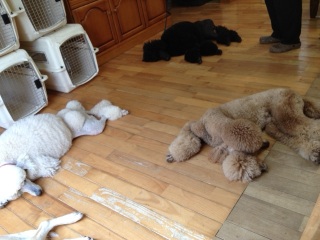 �`���[�W����