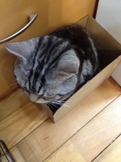 ������i���ށ��j