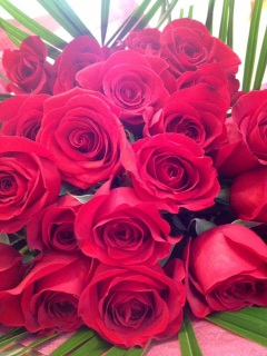 �E�L��S(���܁[�܁�)�m