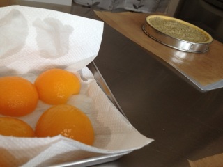 �ǂƃA�[���O���C�̃^���g