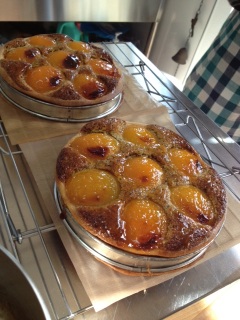 �ǂƃA�[���O���C�̃^���g