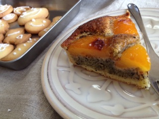 �ǂƃA�[���O���C�̃^���g