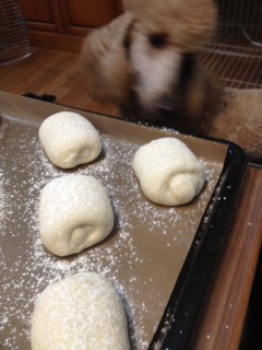 �j���[�t�F�C�X��