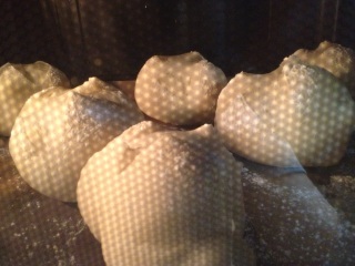 �܁A���A�܁A���A