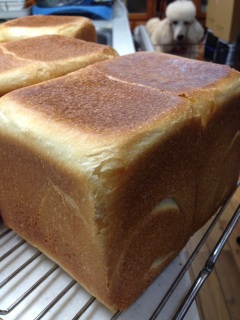 �p�H�Ă���