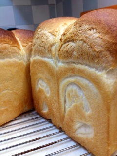 �����̓p�l�g�[�l�R