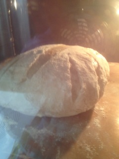 ���f�u����(^^;;